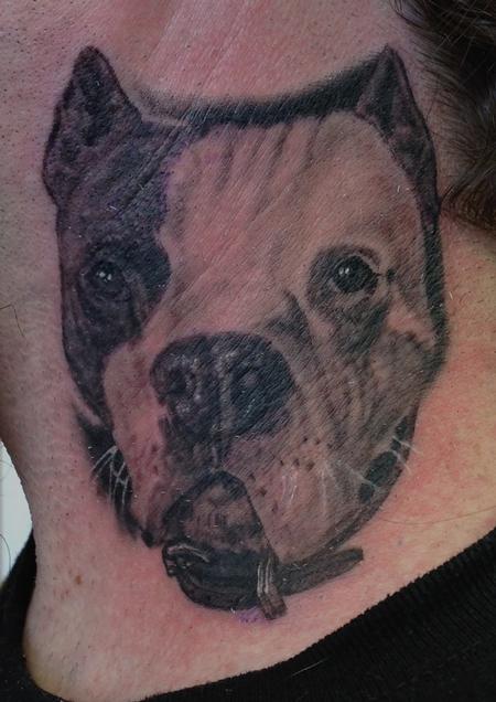 Tattoos - Pit Bull Portrait - 101174