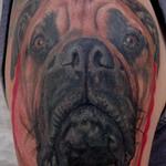 Tattoos - Bullmastiff - 99242