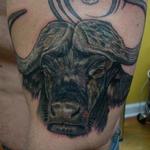 Tattoos - Cape Buffalo - 100945
