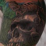 Tattoos - Lizard on Skull - 116161