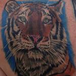 Tattoos - Tiger Portrait - 106831