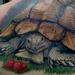 Tattoos - Happy Little Tortoise  - 99093