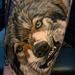 Tattoos - Angry Like the Wolf - 98699