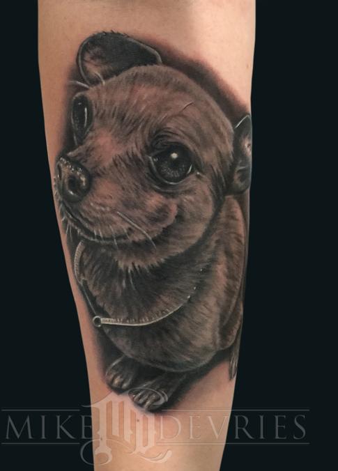 Tattoos - Chihuahua Tattoo - 119565