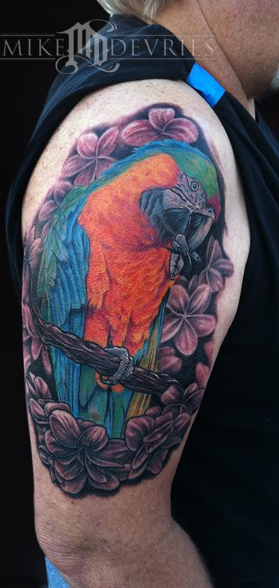 Tattoos - Catalina Macaw - 62090