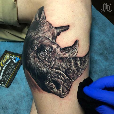 Tattoos - Rhino Tattoo - 134124