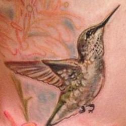 Tattoos - Brookes Hummingbird in Southern Illinois - 91884