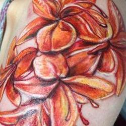 Tattoos - Appalachia Botanica - 117149