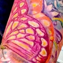 Tattoos - Caseys Barn Swallow family sleeve (coverup detail) - 91866