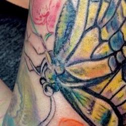 Tattoos - Corbys Garden sleeve (in progress) - 91937