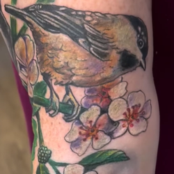 Tattoos - Birds and Berries Nature Sleeve - 146504