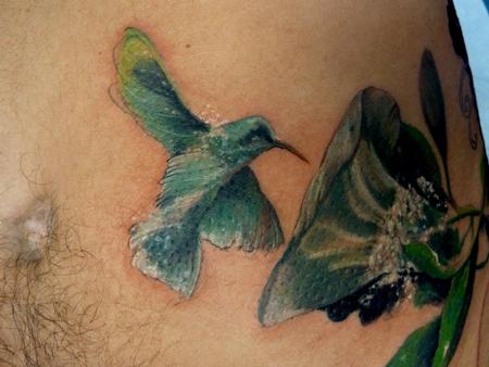 Mully - Hummingbird closeup