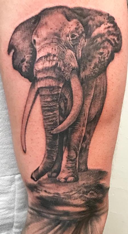 Tattoos - His Majesty - 142810