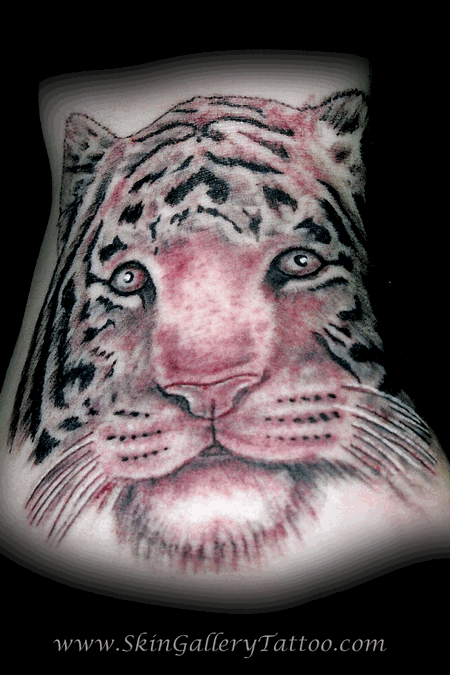 Brent Severson - Black and Grey Tiger 