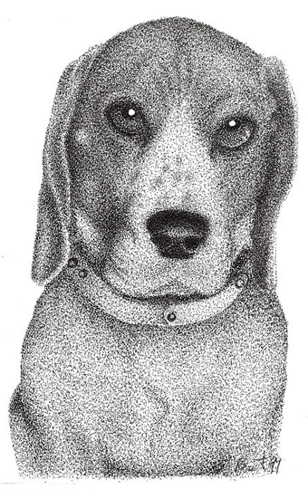 Brent Severson - Pointilism, Beagle Dog
