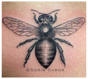 Tattoos - black and gray realistic bee on sternum - 104749