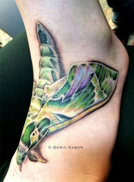 Tattoos - moth view2 - 93221