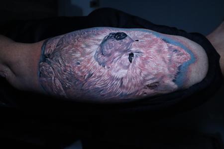 Tattoos - Realistic Dog Portrait - 144331