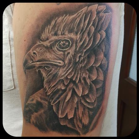 Tattoos - Bateleur Eagle - 142769