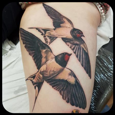 Tattoos - Swifts - 132049