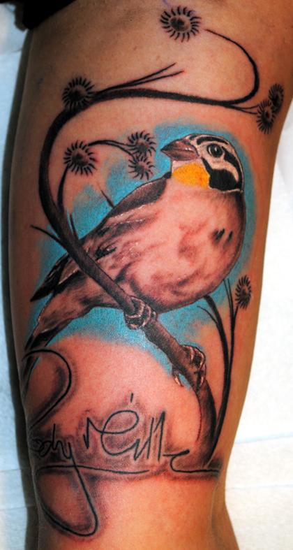 Tattoos - Finch - 60386