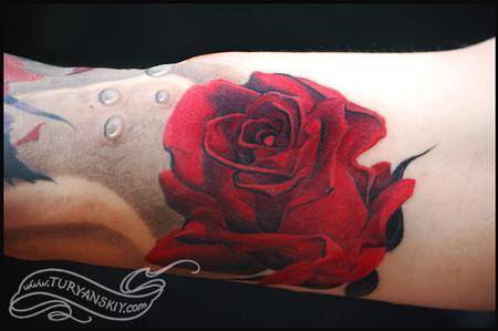 Tattoos - Rose zoom - 59594