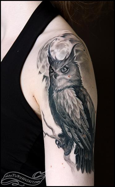 Tattoos - Owl - 65719