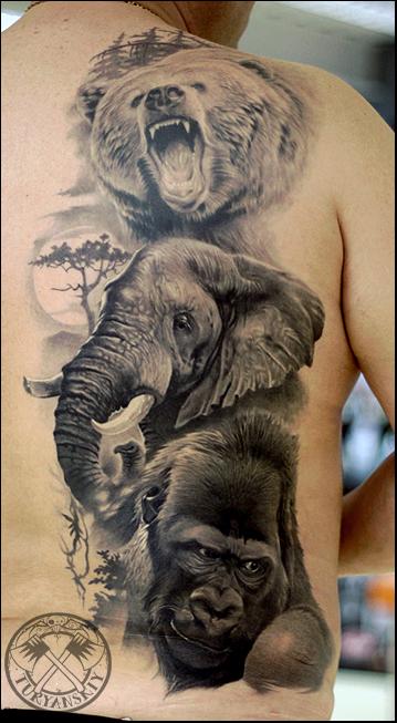 Tattoos - Wildlife portraits - 100727