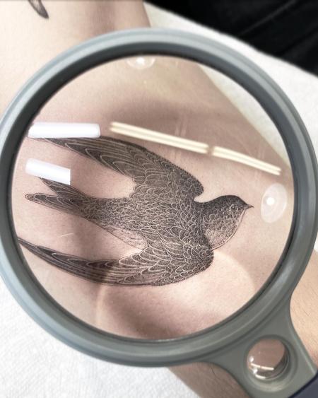 Hosang Lee - Bird Tattoo