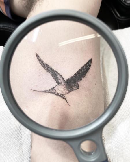 Hosang Lee - Swallow tattoo