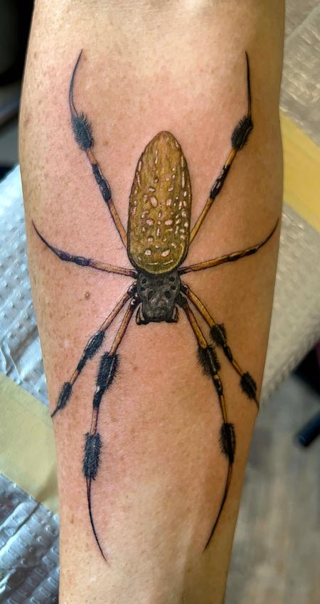 Bart Andrews - Banana Spider Tattoo