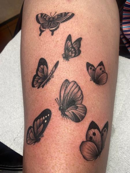 Shane H - Black and Gray Butterflies