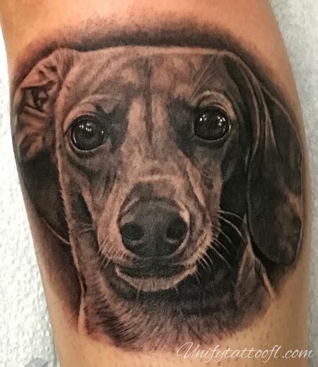 Pepper - Dachshund Portrait