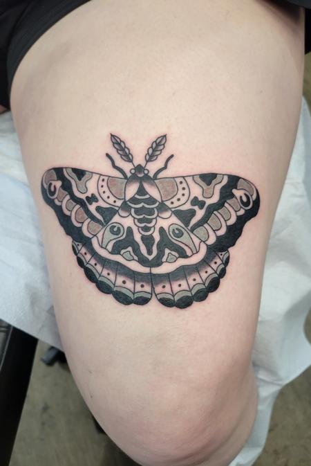 Tattoos - Moth on the leg - 144862