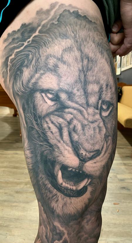 Tattoos - Lion Close up - 141652