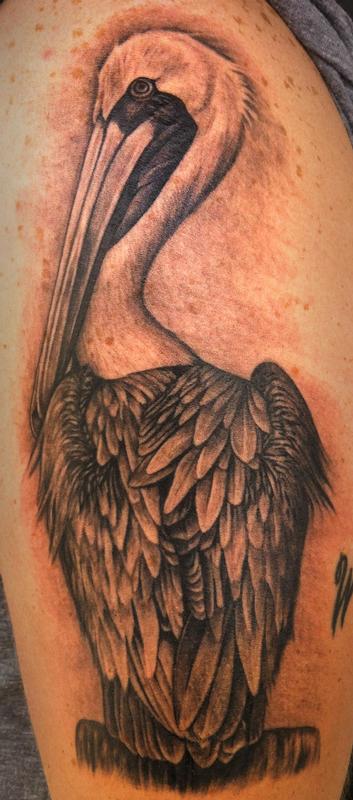 Tattoos - Pelican  - 62734