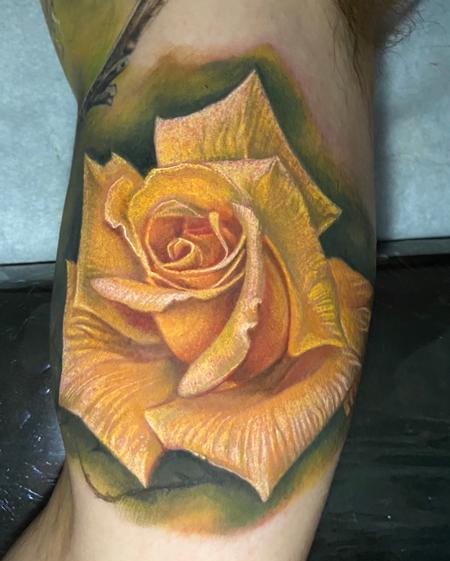 Rob - Yellow Rose Tattoo