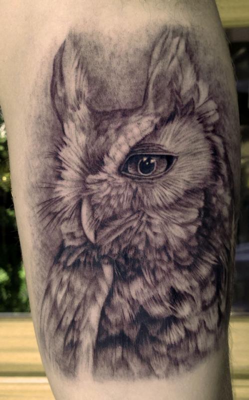 Tattoos - Owl Tattoo - 80639