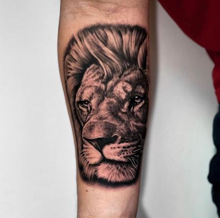 Tattoos - Lion - 144497